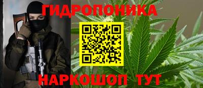 spice Берёзовский