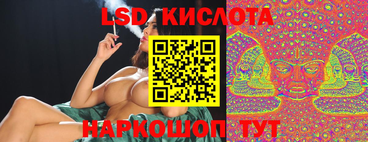 МЕФ Заинск