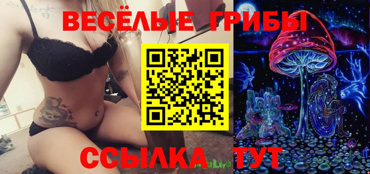 Галлюциногенные грибы прущие грибы  Вход с VPN  Заинск  Галлюциногенные грибы Cubensis 