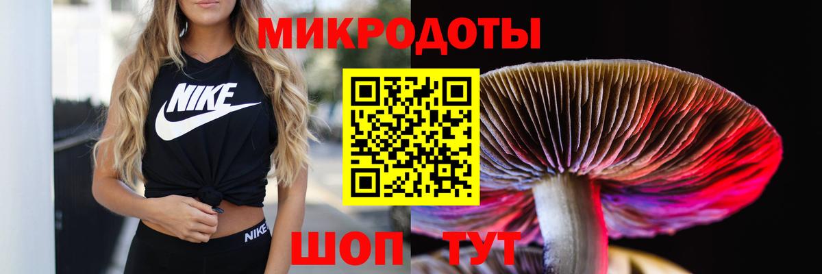 Псилоцибиновые грибы ЛСД Заинск